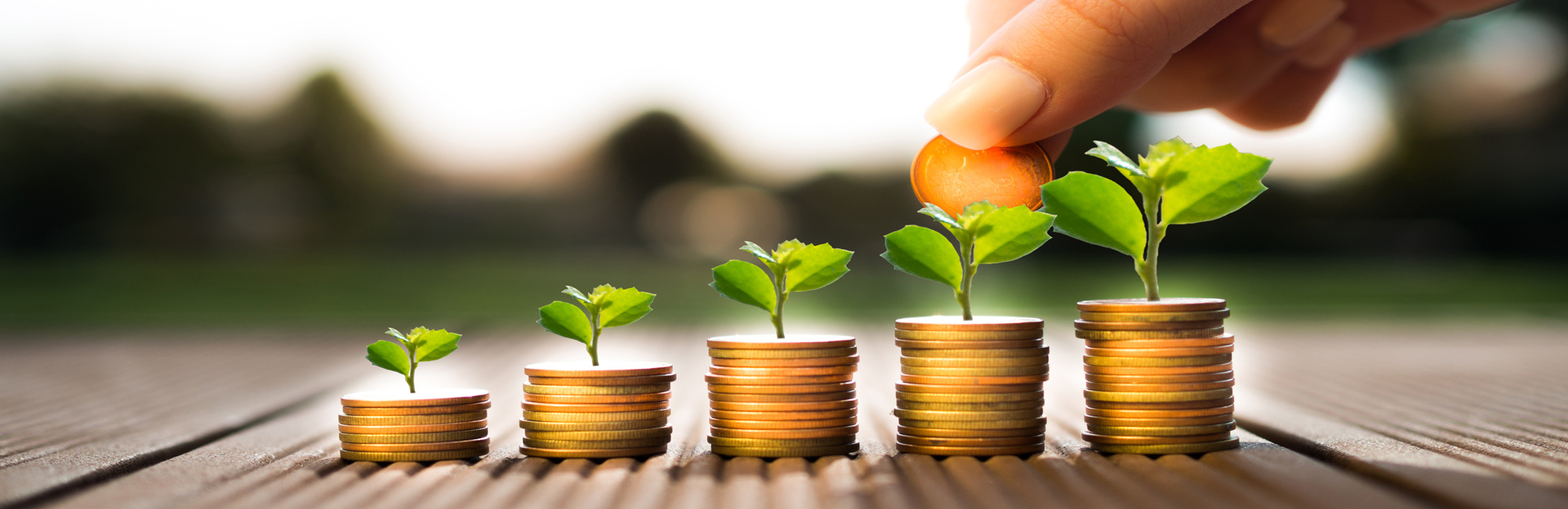 Savings Accounts Header Image