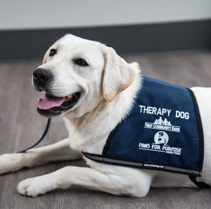 FIRST COMMUNITY BANK PARTNERS WITH PAWS FOR PURPOSE 